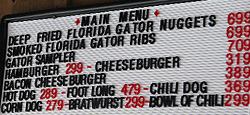 Gatornuggets