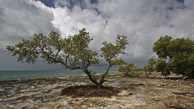  vor Bahia Honda State Park