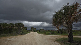 Black Point Wildlife Drive