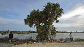 Black Point Wildlife Drive