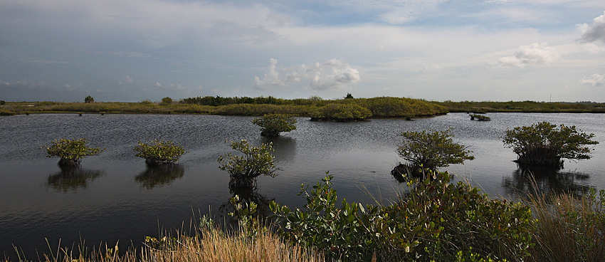 Black Point Wildlife Drive