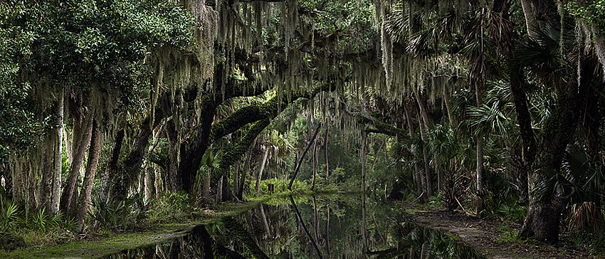 Myakka River SP