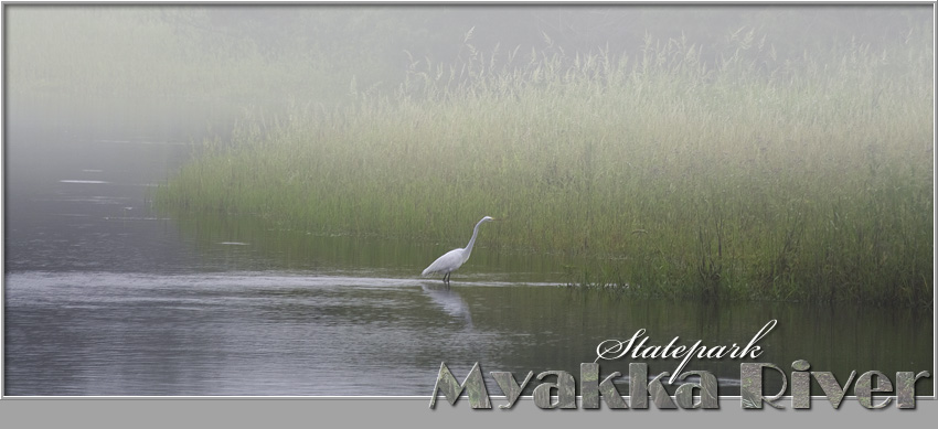 Myakka River SP