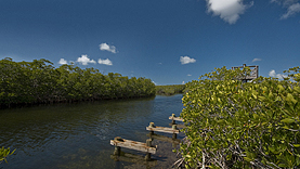 Pennekamp SP