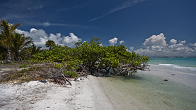 Sanibel Island