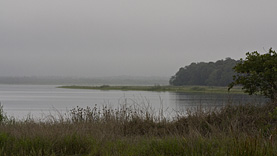 Myakka River SP