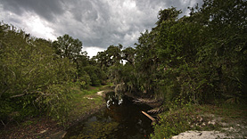 Myakka River SP