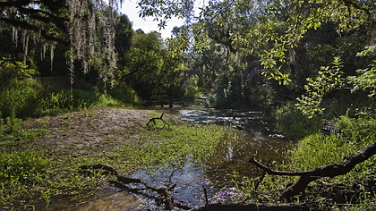 Myakka River SP