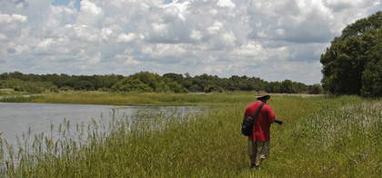 Myakka River SP