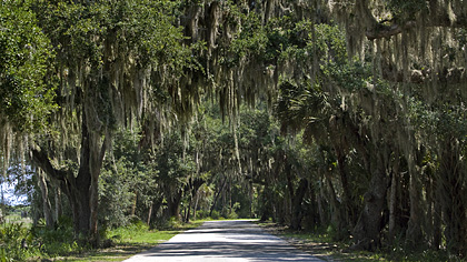 Myakka River SP