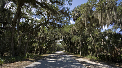 Myakka River SP