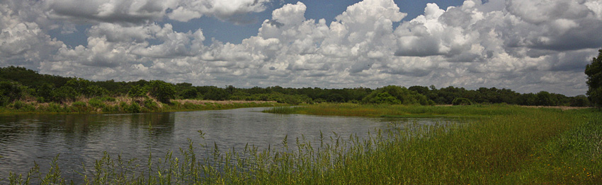 Myakka River SP