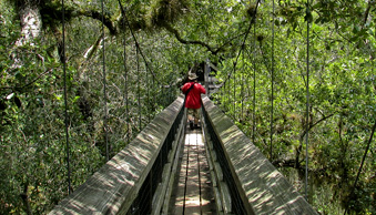 Myakka River SP