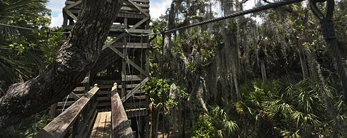 Myakka River SP