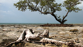  vor Bahia Honda State Park