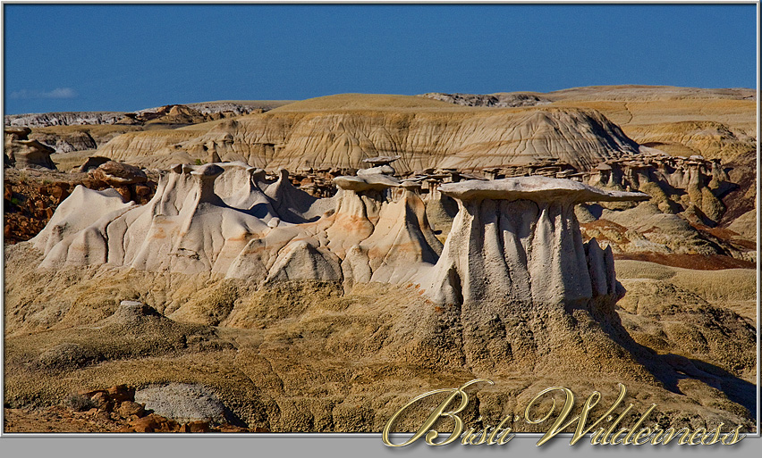 Bisti Wilderness