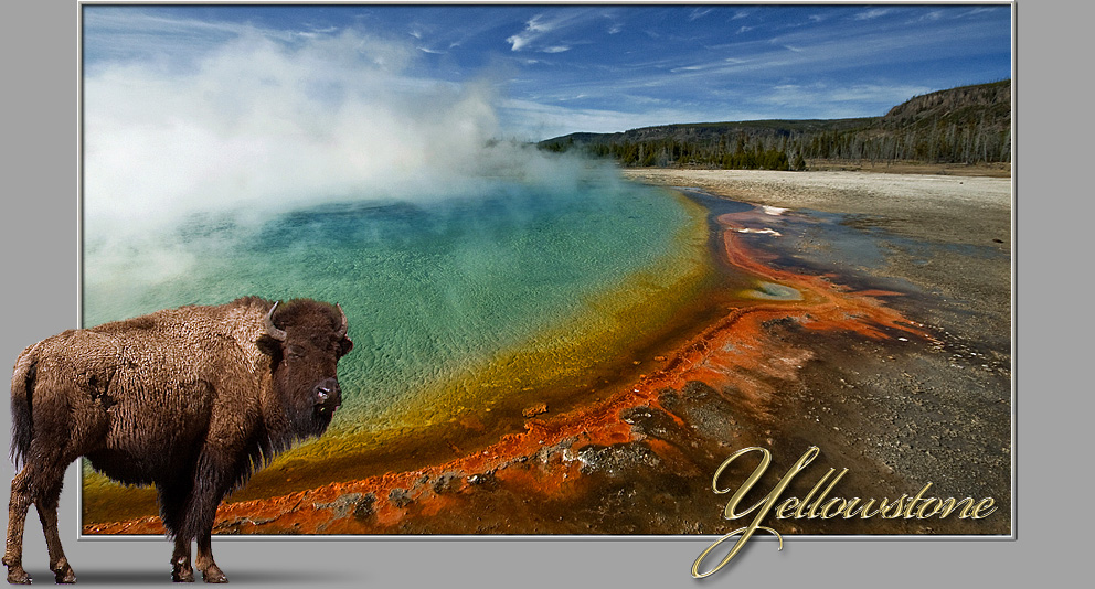 Yellowstone NP