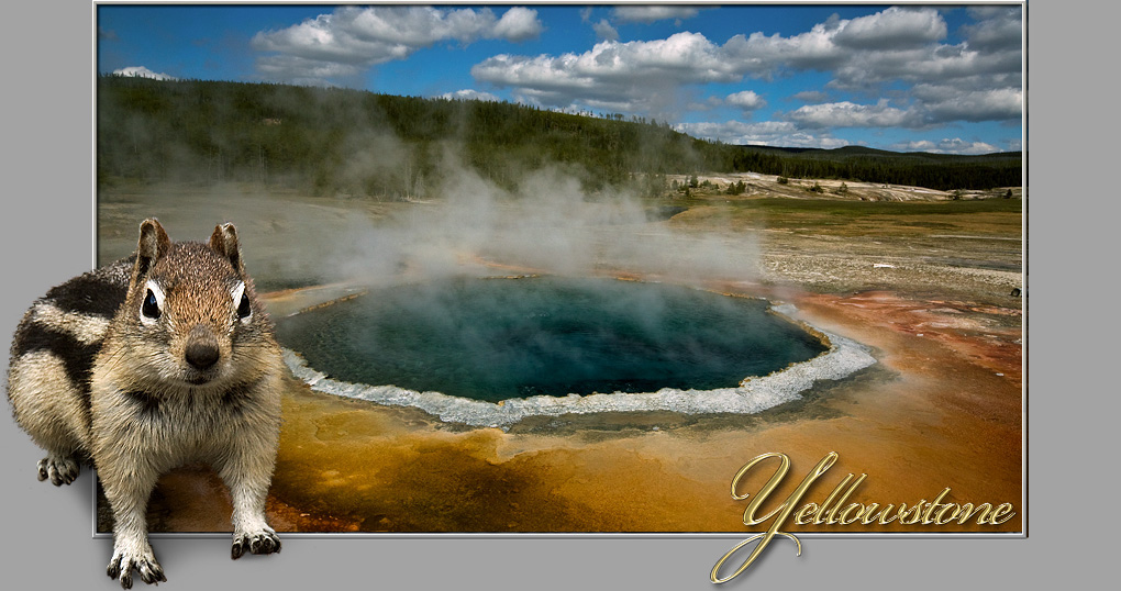 Yellowstone NP