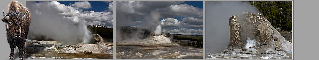 Castle Geyser