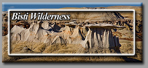 Bisti Badlands