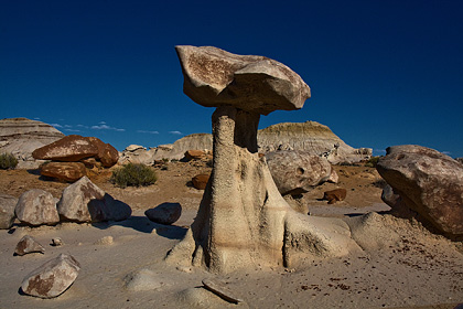 Bisti Wilderness