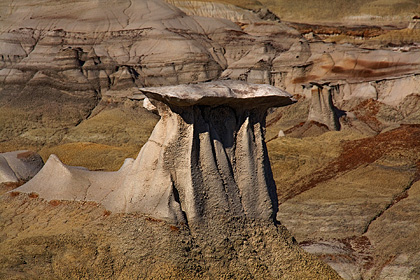 Bisti Wilderness