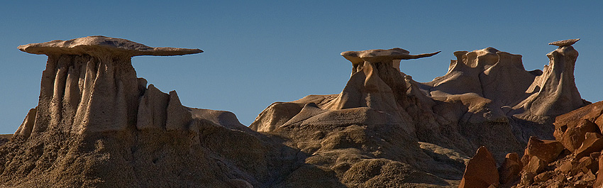 Bisti Wilderness