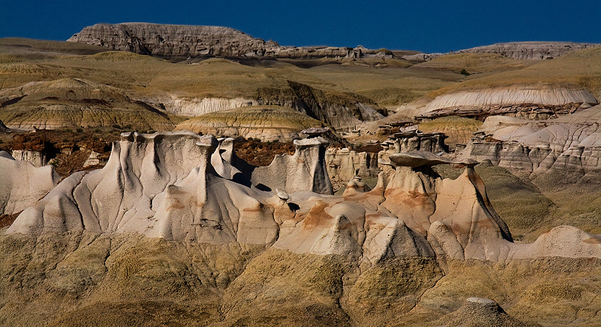 Bisti Wilderness