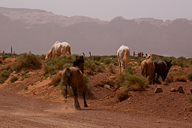 Monument Valley