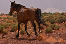 Monument Valley