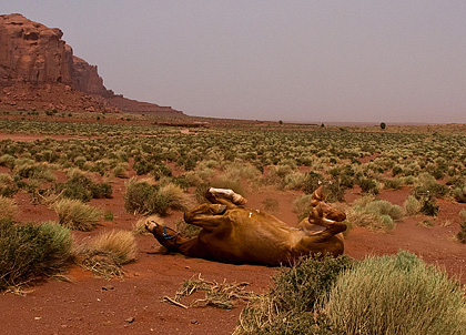 Monument Valley