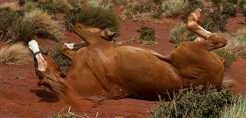 Monument Valley