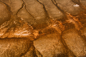 Grand Prismatic Spring