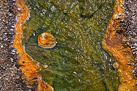 Norris Geysir Basin