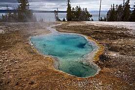 Yellowstone NP