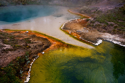 Seismograph Pool