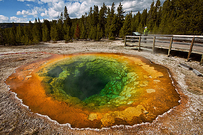 Yellowstone NP