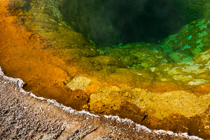 Yellowstone NP