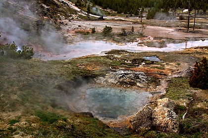 Yellowstone NP