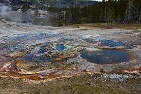 Yellowstone NP