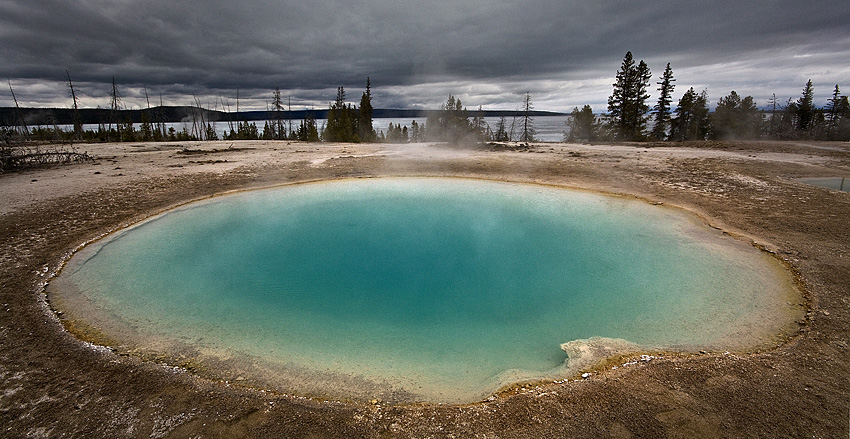 Blue Funnel Spring