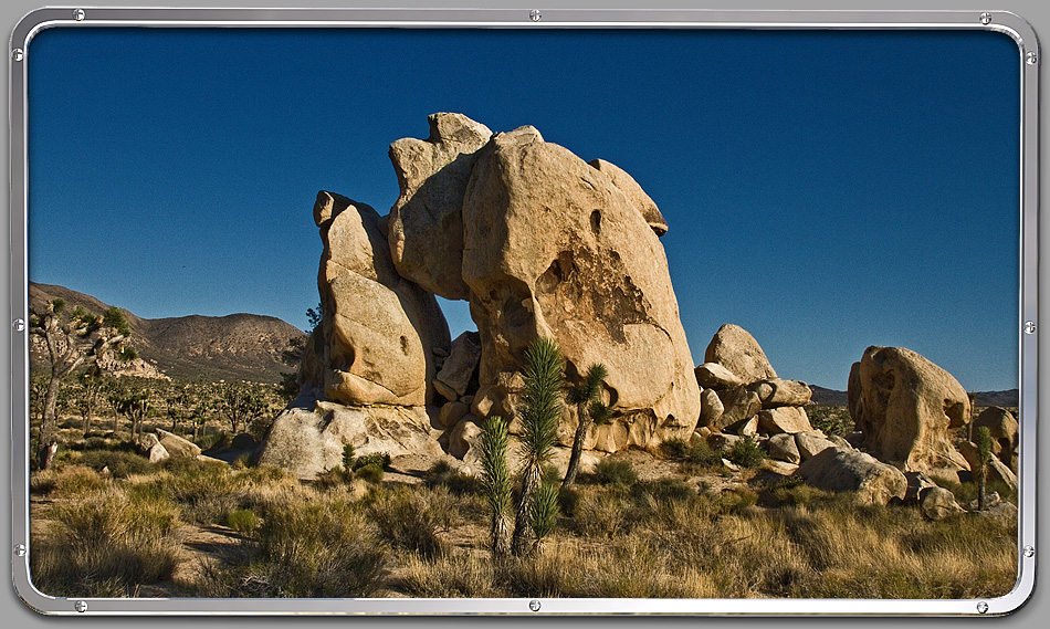 Joshua Tree NP