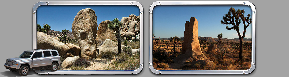 Joshua Tree NP