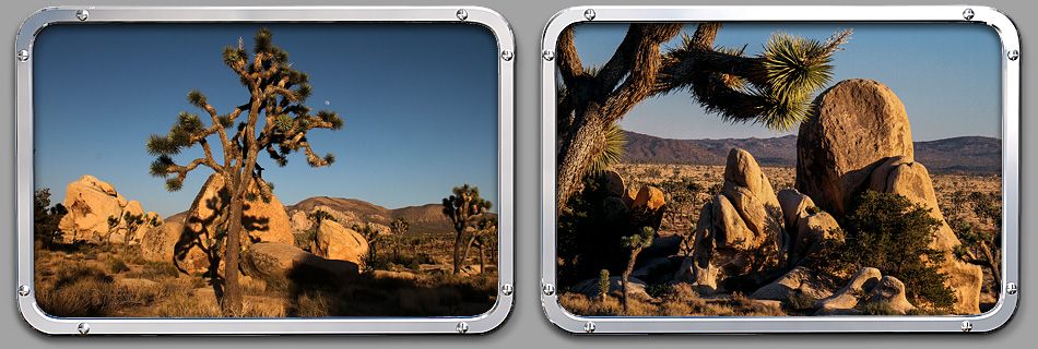 Joshua Tree NP