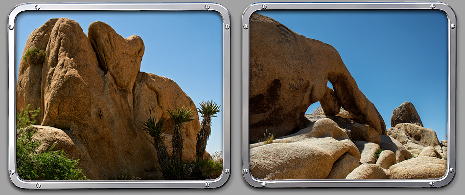 Joshua Tree NP