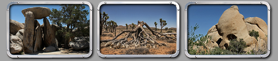 Joshua Tree NP