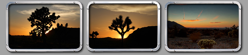 Joshua Tree NP