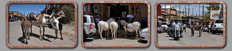 Oatman