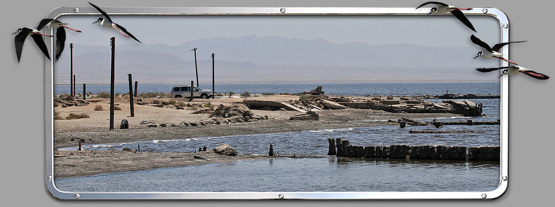 Salton Sea