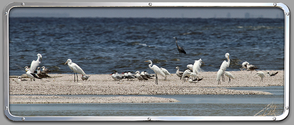 Salton Sea